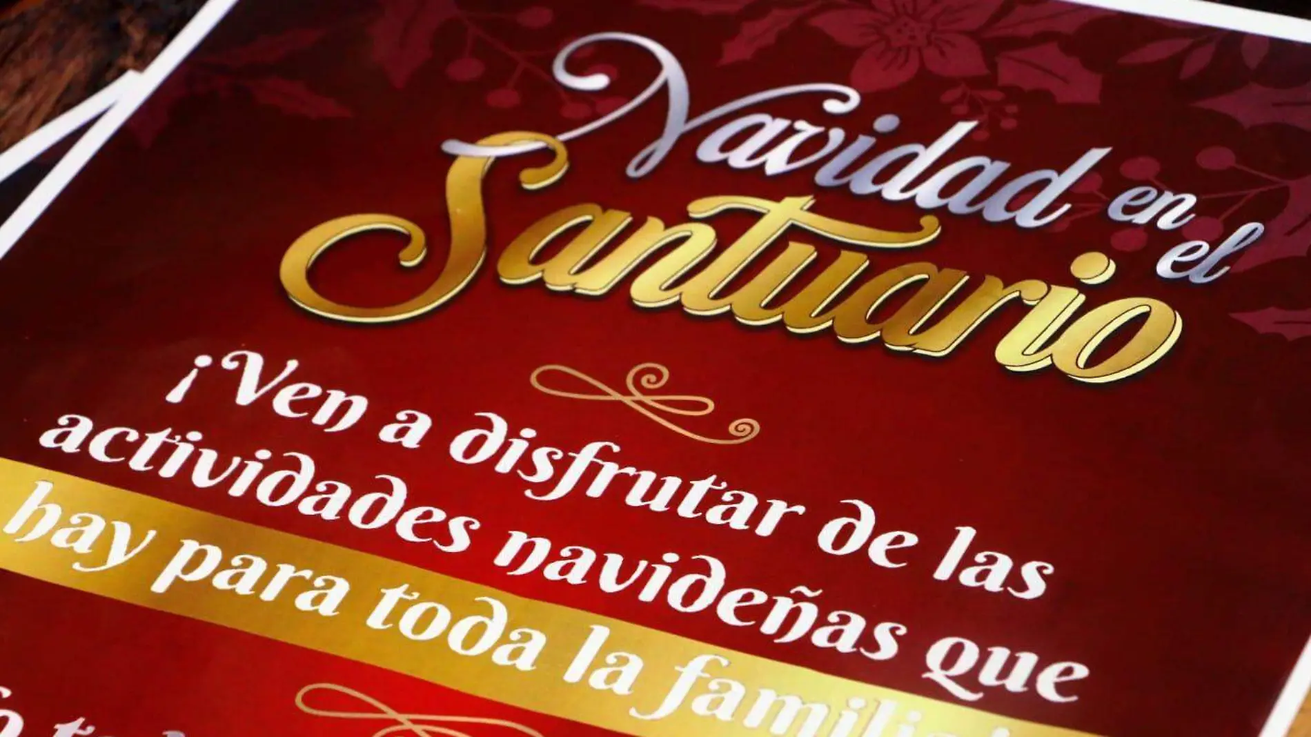 navidad en  el santuario